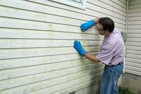 Best Historical Building Siding Restoration  in Azusa, CA